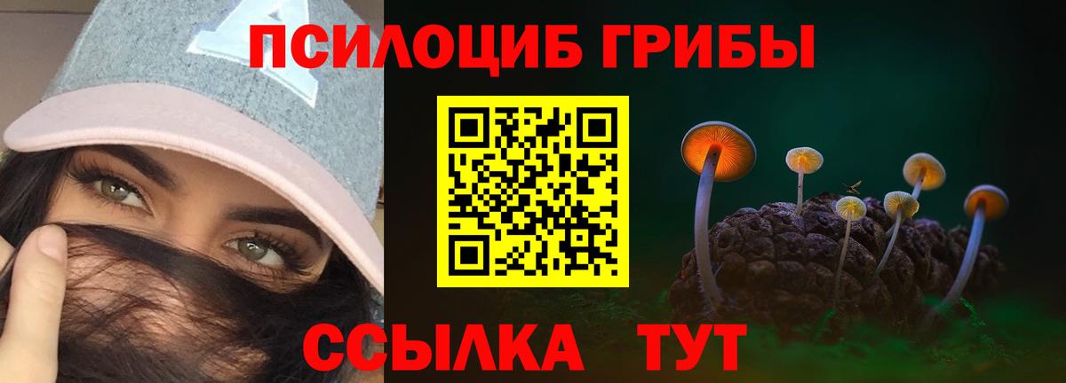 закладки  Галлюциногенные грибы Cubensis  Вход с VPN  Улан-Удэ 